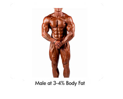 A+healthy+body+fat+percentage+for+men+is+approximately