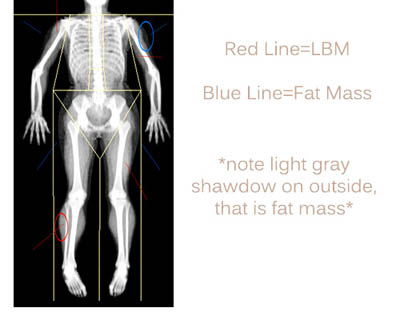 Body Fat Percentage Chart For Men & Women (With Pictures) - Fabulous Body