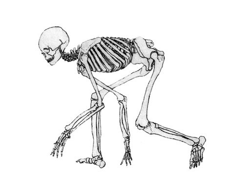 starvation-mode
Skeleton crawling