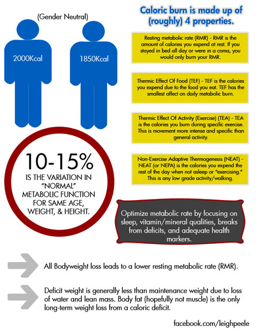 metabolic-inforgraph