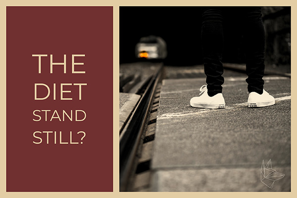The Diet Stand Still?
Person standing beside train track.